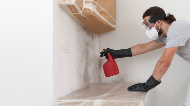 Professional Crawl Space Mold Removal technician working in Millheim, PA